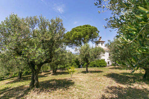 Property Image 41