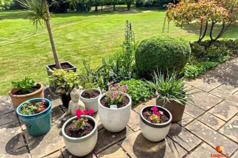 Garden 6