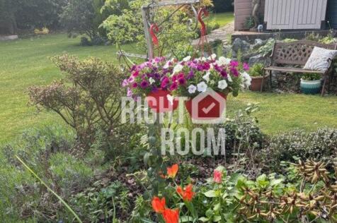 room-2-3-roslin-road-bh3-7ja-1049845