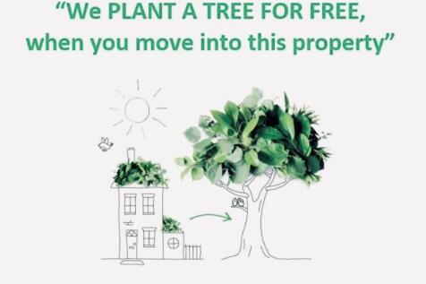 plant a tree
