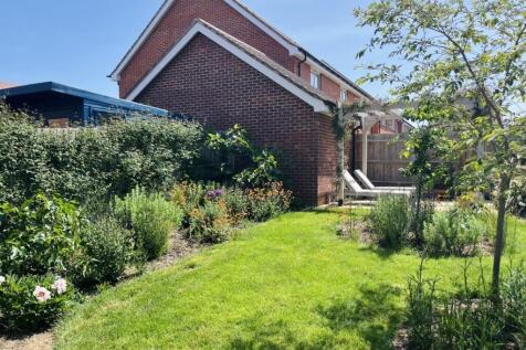 Summer Garden Photo.jpg
