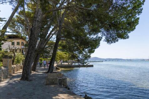 Pine Walk..