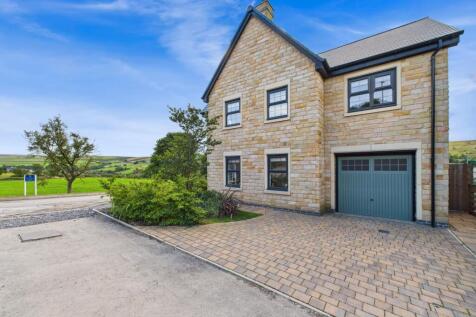 Side Elevation with Drive