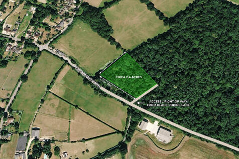 Hogpitts Wood Main