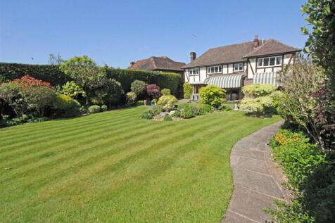 IMG_5115 lawn rear.jpg