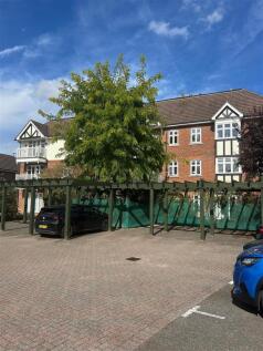 IMG_1455.jpeg
