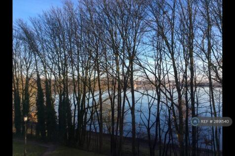 View From All Windows