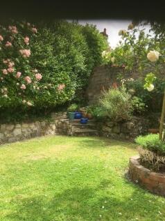 garden.jpg