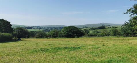 Lower Paddock
