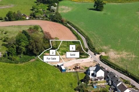 view across plots
