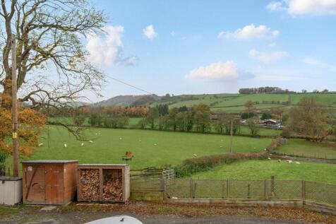 View from Wood Store.jpg