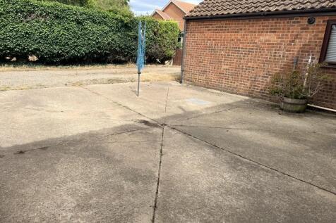 IMG_4911