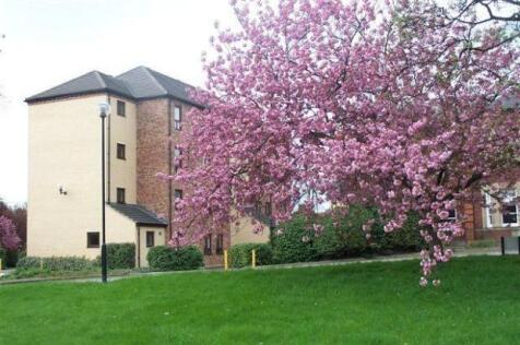 2 Bedrooms, Unfurnished Apartment