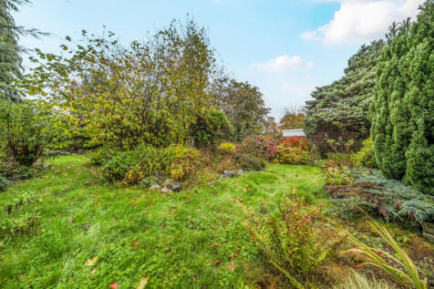 1380630-1-6911e54...