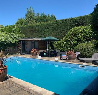 Vendor Garden Photos_3.JPG