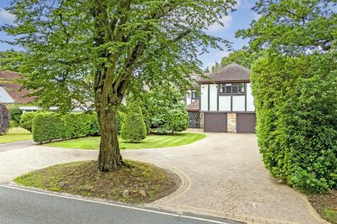 DJI_20240712134507_0170_D copy.jpg