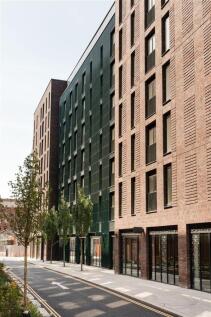 2026-08_MCRLife_ElizaYard-033.jpg