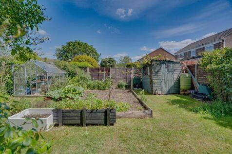 Vegetable garden picture 1