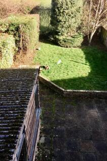 Back Garden