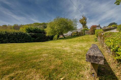 18_Oak_tree_Claire_Gillo_Photography-4312.jpg