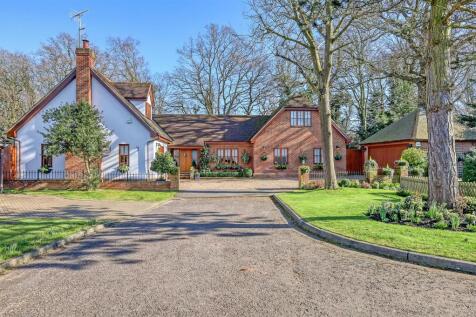 img_1209_39 copy.jpg