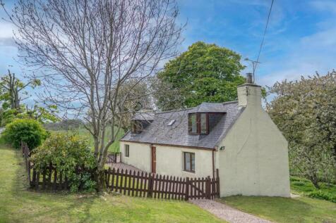 The Property