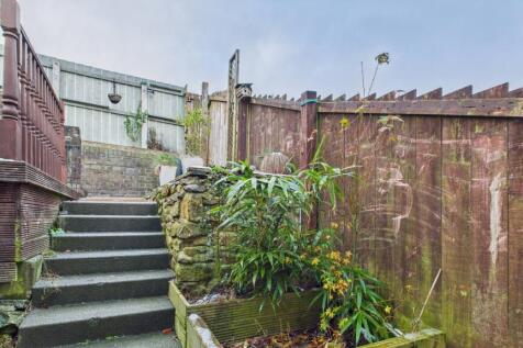 Back Garden (2)