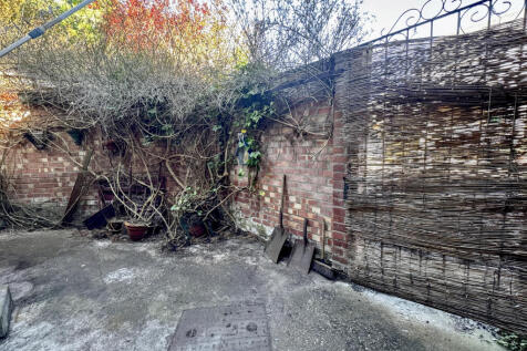 BackYard.jpg