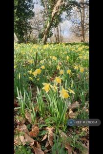 Long Wooded Walks Is Only a 5 Min Walk Away