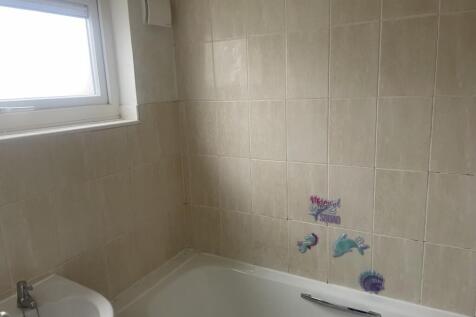 IMG 5798 T202601160956.jpeg