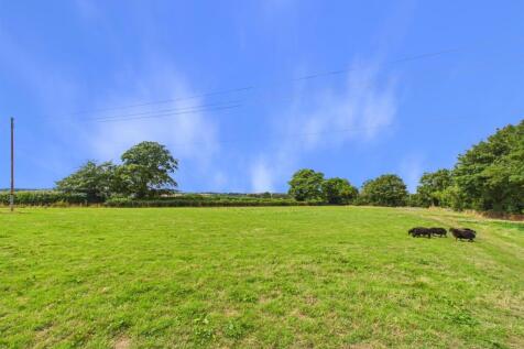 CAM01713G0-PR0226-STILL017.jpg