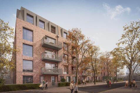 VP_I_1_day (1) (1).jpg