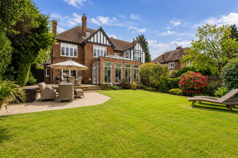 Back Garden