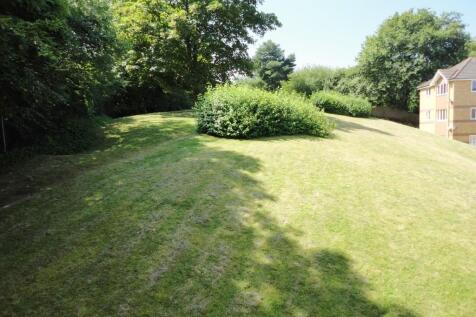 Communal Garden