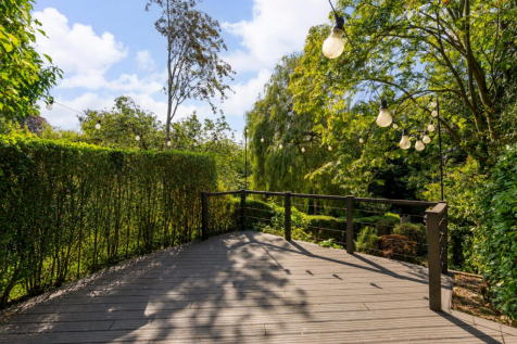 Patio / Terrace