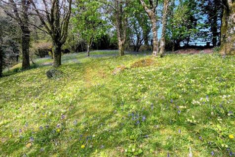 Spring photo 2.jpg