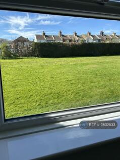 View From Kitchen