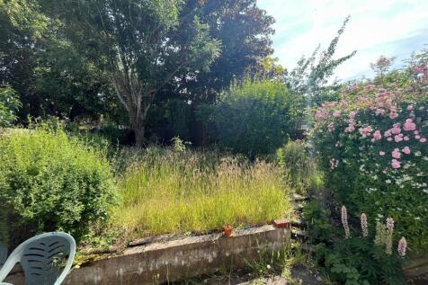 11Garden