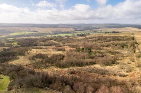 DJI_20260317103531_0190_D (1).jpg