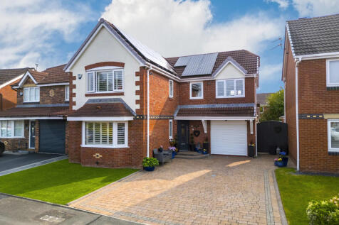 10 Animone way-14 (2)