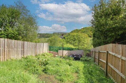 Back Garden