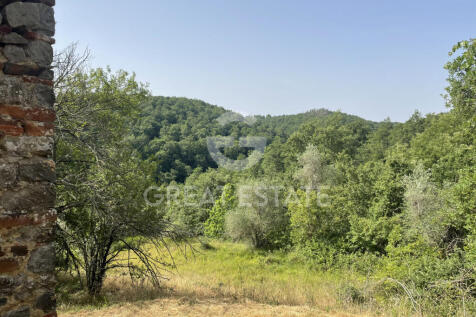 Panorama e Particolari