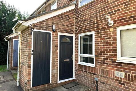 New Front Door