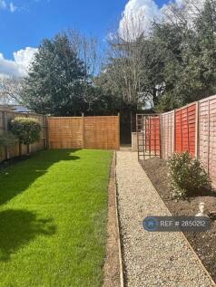 Sunny Garden