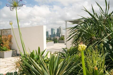 Communal Roof Top