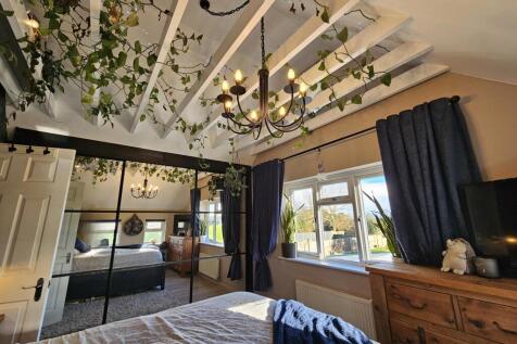 pbox-IMG.jpg