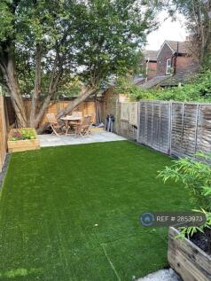 Back Garden 