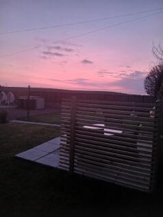 Garden at Dusk