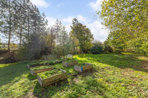 Raised Beds