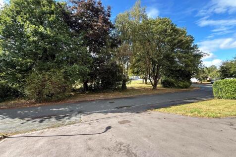 thumbnail_image1 (3).jpg